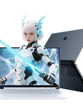 机械革命 蛟龙16Pro 潮玩版锐龙9 8940HX 16英寸RTX5060笔记本电脑游戏本锐龙电竞本学生官方旗舰
