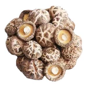 西峡特产精品花菇干货500g包邮新鲜营养干香菇冬菇蘑菇特级送礼