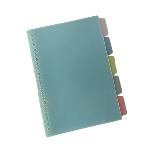 分类标签纸本A4/A5B5活页夹分页纸隔页纸5色手账索引纸 彩色塑料