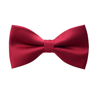 适派领 红色领结男新郎婚礼伴郎粉红兄弟团韩版正装黑色蝴蝶结