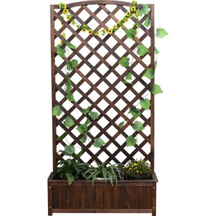 户外庭院带花盆花箱隔断阳台爬藤花架网格防腐实木碳化攀爬架壁挂
