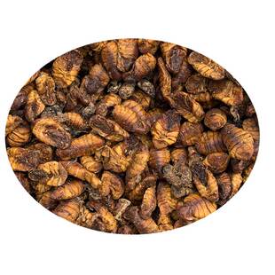 蚕蛹干纯干蚕蛹饲料级蚕蛹鱼饵鸟食买5斤起包邮龙虾饲料蚕蛹打窝