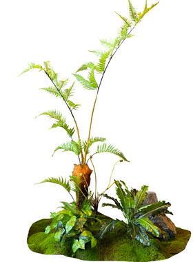 仿真绿植花槽橱窗苔藓造景组合