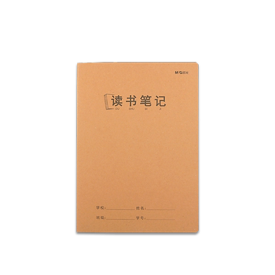 晨光牛皮纸阅读好词好句摘抄专用