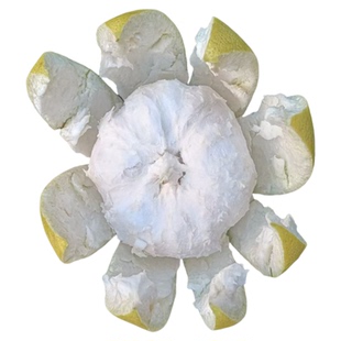 江西安福柚子老树井冈山金兰柚新鲜孕妇级蚕子薄皮老树白心蜜柚子