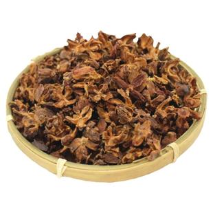 新鲜柏树果 现摘现发侧柏籽 柏树子籽侧柏果 野生柏香果药材包邮