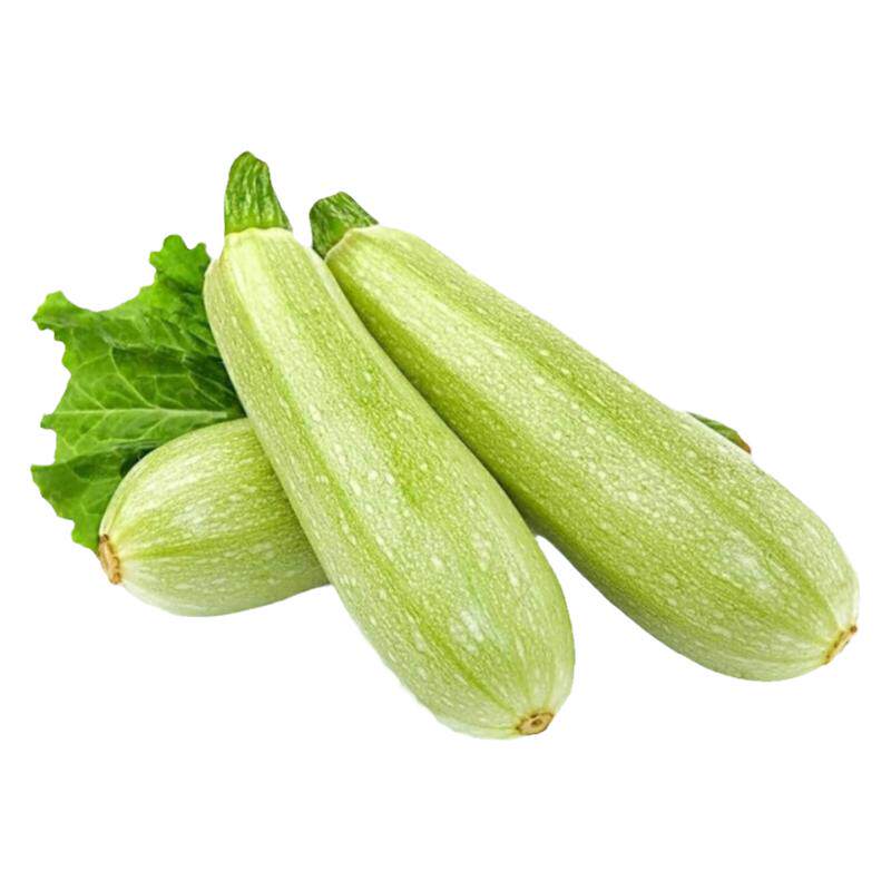 奶油西葫芦种子生吃水果笋瓜种籽耐热小白瓜角瓜熏瓜荨瓜菜瓜籽种