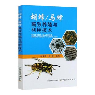新版胡蜂马蜂高效养殖与利用技术养蜂蜜蜂养殖技术大全畜牧养殖胡峰养殖马蜂养殖一本全书籍中蜂熊蜂养蜂实用手册科学饲养病害防治