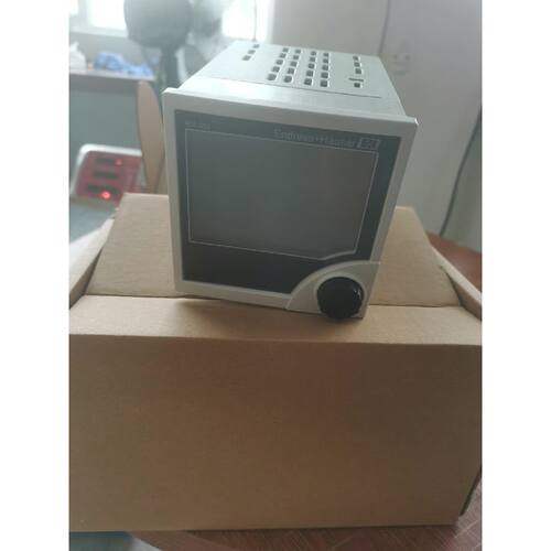EH 数显仪 RIA452-A112A11A