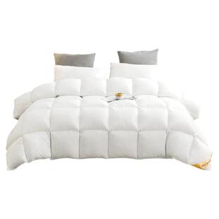 鸿润家纺新款7A抗菌95白鹅绒被子冬春秋静音加厚保暖单双人羽绒被