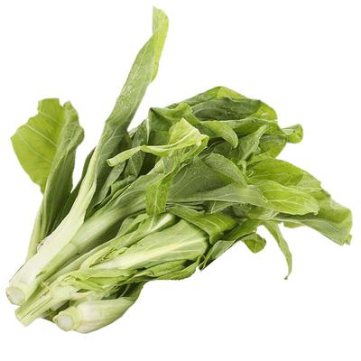 【露天现摘】新鲜菜苔组合装