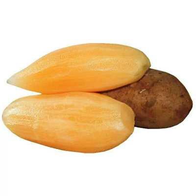 现挖整箱新鲜正宗雪莲果特级