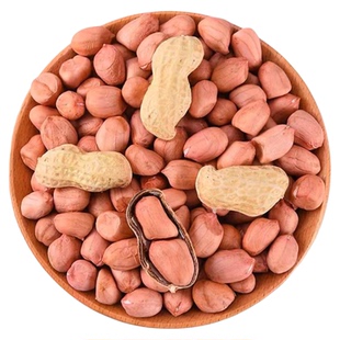 胶夏大花生种子山东花生种籽大粒生红衣花生种孑花生种籽高产南方