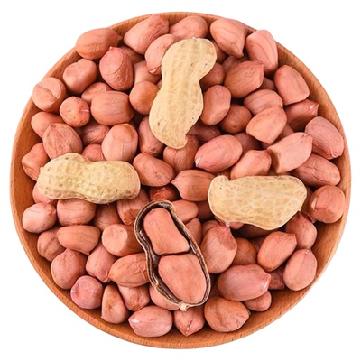 高产花生种子黑花生四粒红