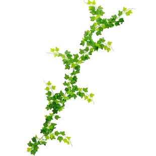 仿真藤条绿萝叶装饰假树叶绿藤藤蔓植物花藤水管道遮挡空调绿叶花