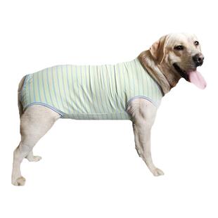 春夏薄款大型犬背心金毛护肚子包肚衣服纯棉背部拉链母狗断奶绝育