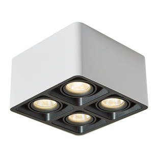 意大利EFE 明装筒灯斗胆灯四头双头防眩客厅无主灯天花灯单头过道