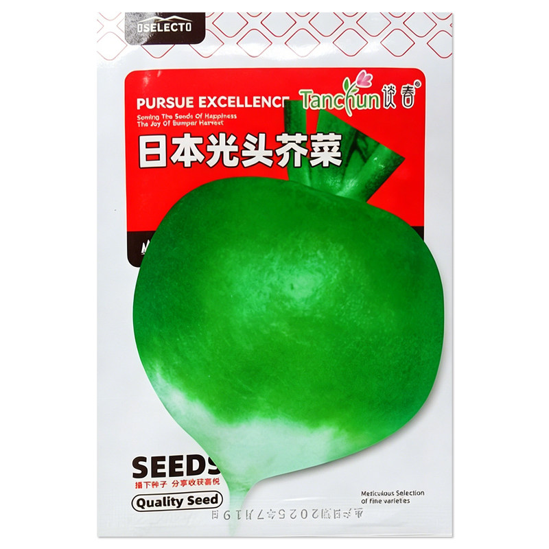 日本光头芥菜种子疙瘩菜