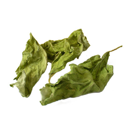 葛兰叶野菜山货马齿菜栾川特产