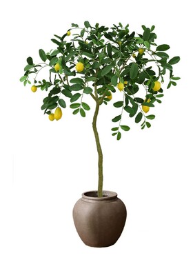 仿真绿植柠檬树落地盆栽装饰花