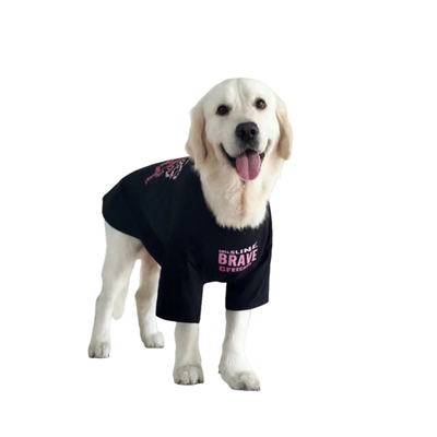 中大型犬夏季超薄网红大狗衣服