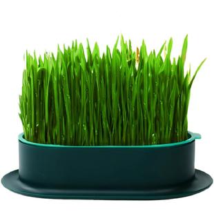 猫草盆栽水培盒懒人猫草种子盘猫咪化毛片专用草猫草棒冻干猫草粒