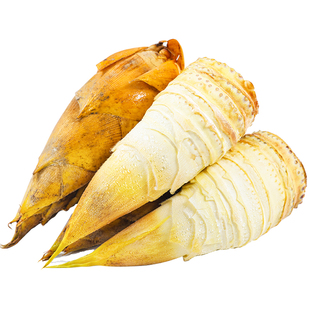 新鲜冬笋现挖竹笋5斤当季蔬菜苦笋雷笋腌笃鲜毛笋春甜笋整箱包邮5