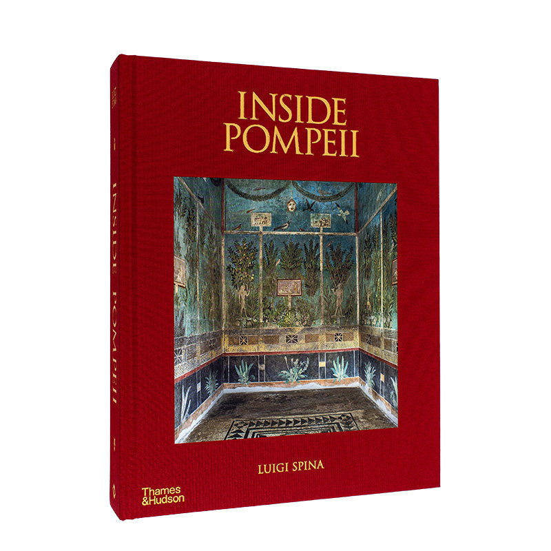 【预售】走进庞贝古城 Inside Pompeii 原版英文摄影人文景观 善本图书