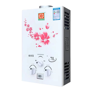 煤气热水器家用宿舍天然气液化气出租房免水压用强排式10升8升电