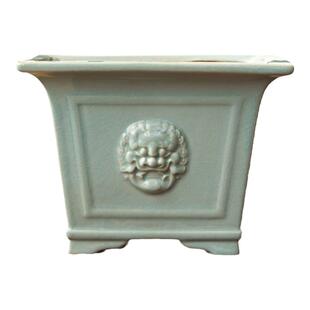 六月雪绿植造型微盆景中式福建茶家用蝴蝶兰兰花花盆大口径四方盆