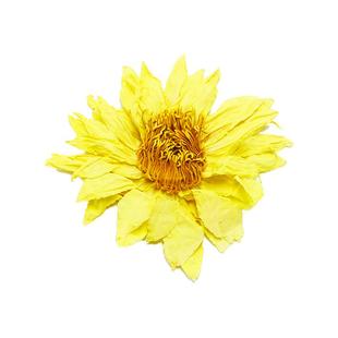 台湾九品香水莲花茶花草茶正品高端养生女士养生茶基地自种直发