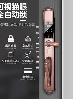 别墅大门电子密码锁双开门大门锁欧式指纹锁带可视猫眼远程开锁