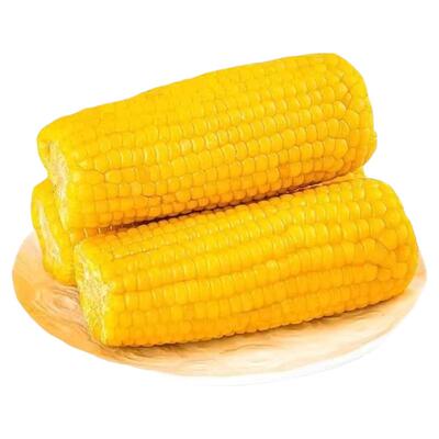 德卓秾东北甜糯玉米低脂非转基因