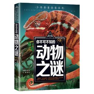 正版彩绘版 动物之谜 少年探索发现你不可不知的未解之谜 动物百科全书青少年版科普书 8-10-12-15岁中小学生老师推课外阅读书籍荐