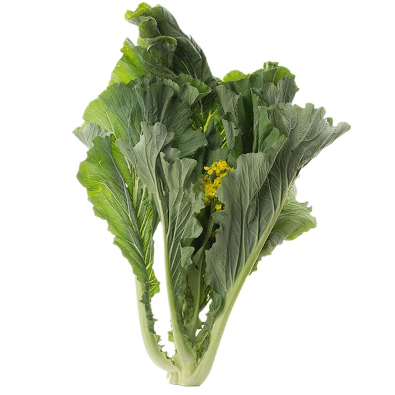 正宗增城迟菜心种子广东高脚甜菜心白菜苔种籽菜园秋冬季蔬菜种孑
