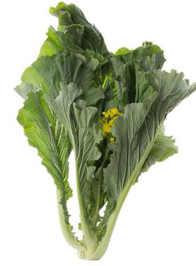 正宗增城迟菜心种子广东高脚甜菜心白菜苔种籽菜园秋冬季蔬菜种孑