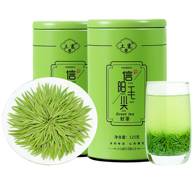 信阳毛尖2024新茶明前嫩芽250g