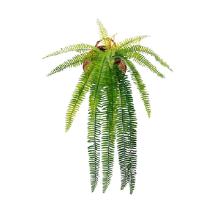 北欧INS精品仿真植物假花藤条绿萝吊兰装饰墙壁挂花吊篮挂藤包邮