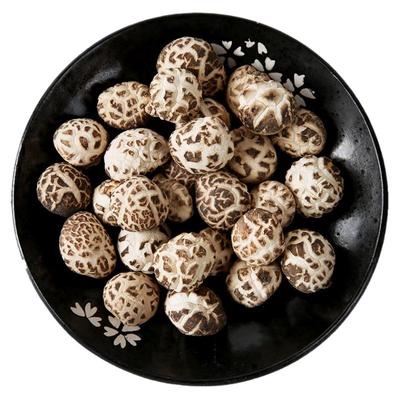 舌尖上的中国推荐食材房县小花菇