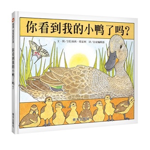 【信谊图书旗舰店】【凯迪克奖】信谊宝宝起步走：你看到我的小鸭了吗精装绘本0-3-6岁幼儿早教启蒙绘本 亲子游戏书