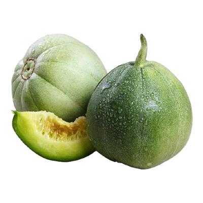 甜瓜苗羊角蜜益丰四季盆栽四季