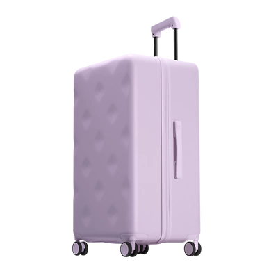 不莱玫同样尺寸就是更能装行李箱