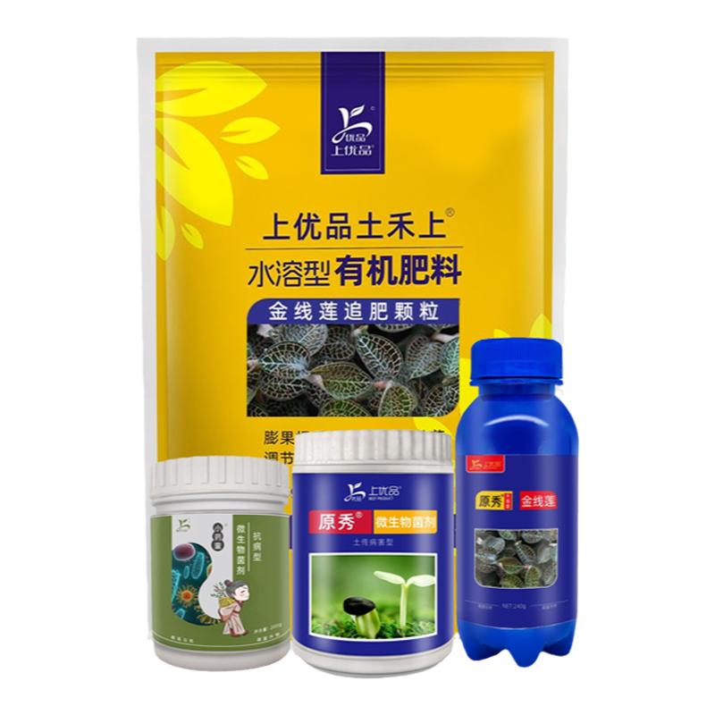 抗病增产金线莲专用肥壮苗促长