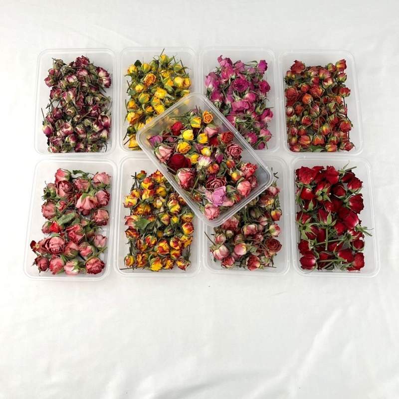 多头玫瑰干花ins蔷薇泡泡迷你胶风干自然材相框拍照diy滴干花