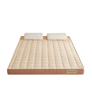 朵亚之星家用卧室新款抑菌软垫记忆棉乳胶床垫学生宿舍专用垫子