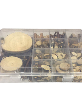 原木块树枝干果区域活动手工材料