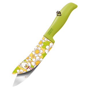 炊大皇厨师刀具家用水果刀菜刀切肉切片刀不锈钢刀厨房辅食刀宿舍