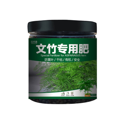 文竹肥料专用肥料土培营养液植物肥有机肥文竹云竹富贵竹花肥通用