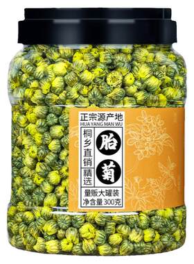 新花量贩装！桐乡特级胎菊王600g