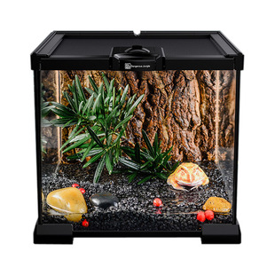 爬宠玻璃饲养箱宠物玻璃缸可堆叠饲养箱守宫蜥蜴甲虫蜘蛛角蛙龟缸